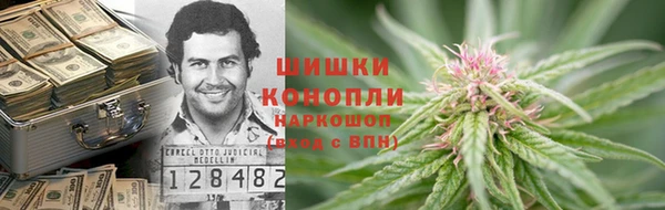 гидра Зеленокумск