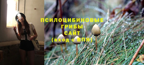 ПСИЛОЦИБИНОВЫЕ ГРИБЫ Зерноград