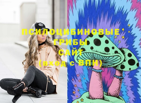 гидра Зеленокумск