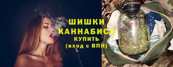 индика Иннополис